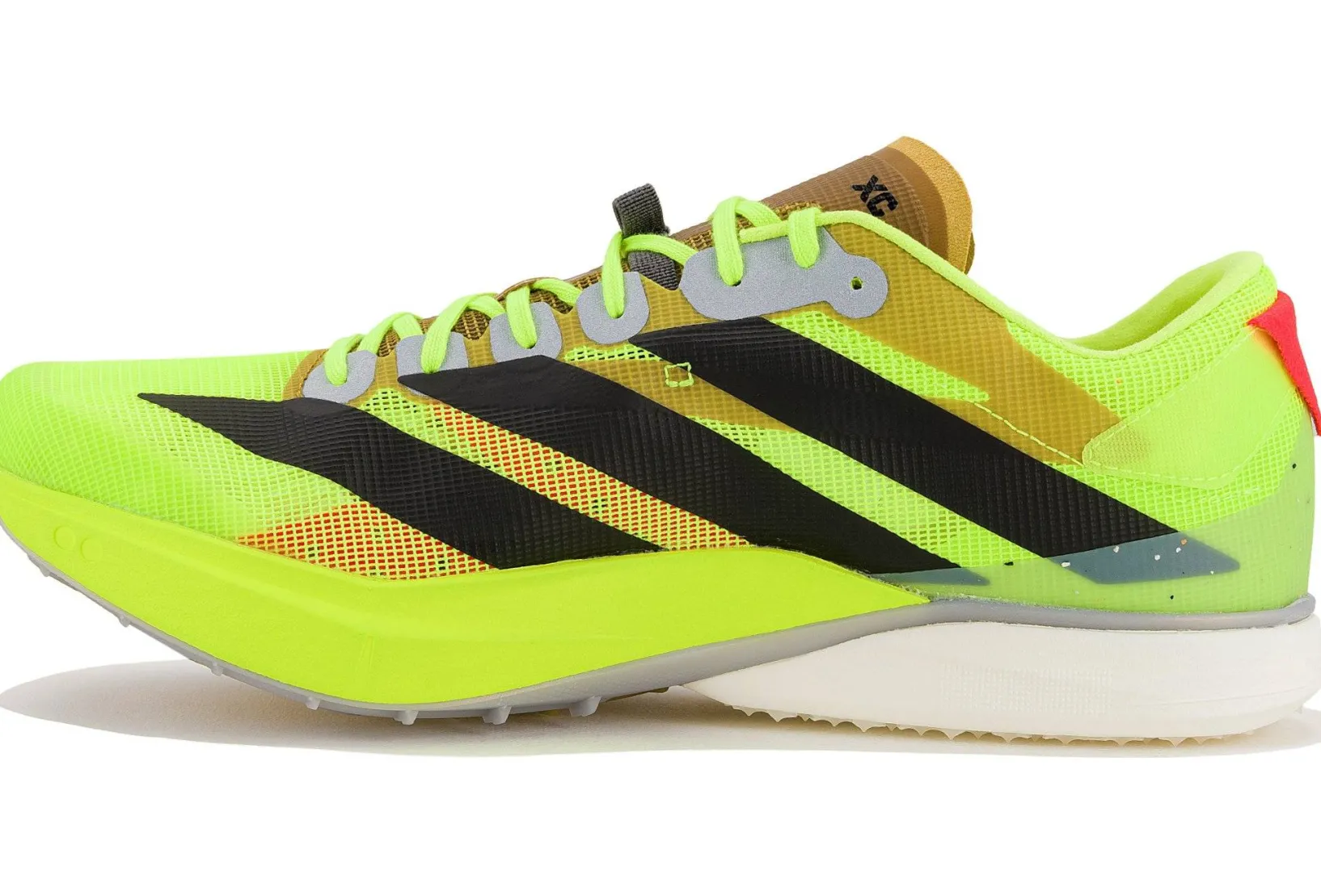 Femme adidas Athlétisme^adizero Avanti XC femme