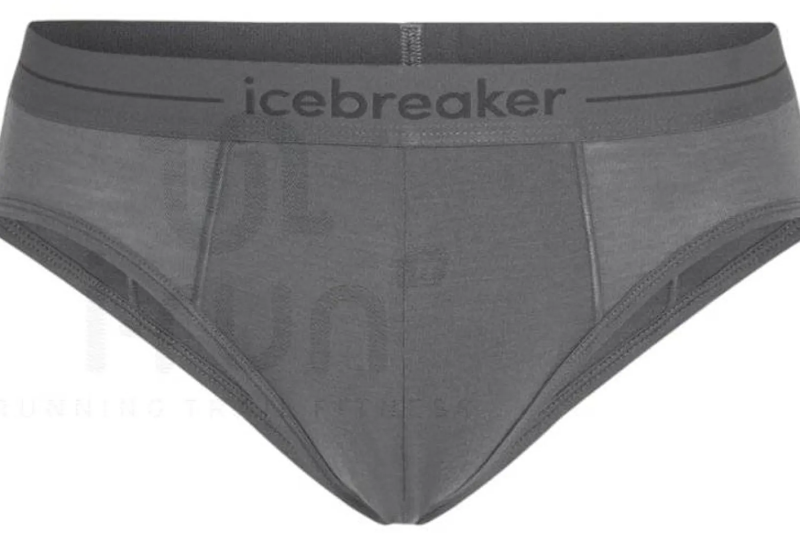 Homme Icebreaker Sous-Vêtements^Anatomica Brief Mérinos