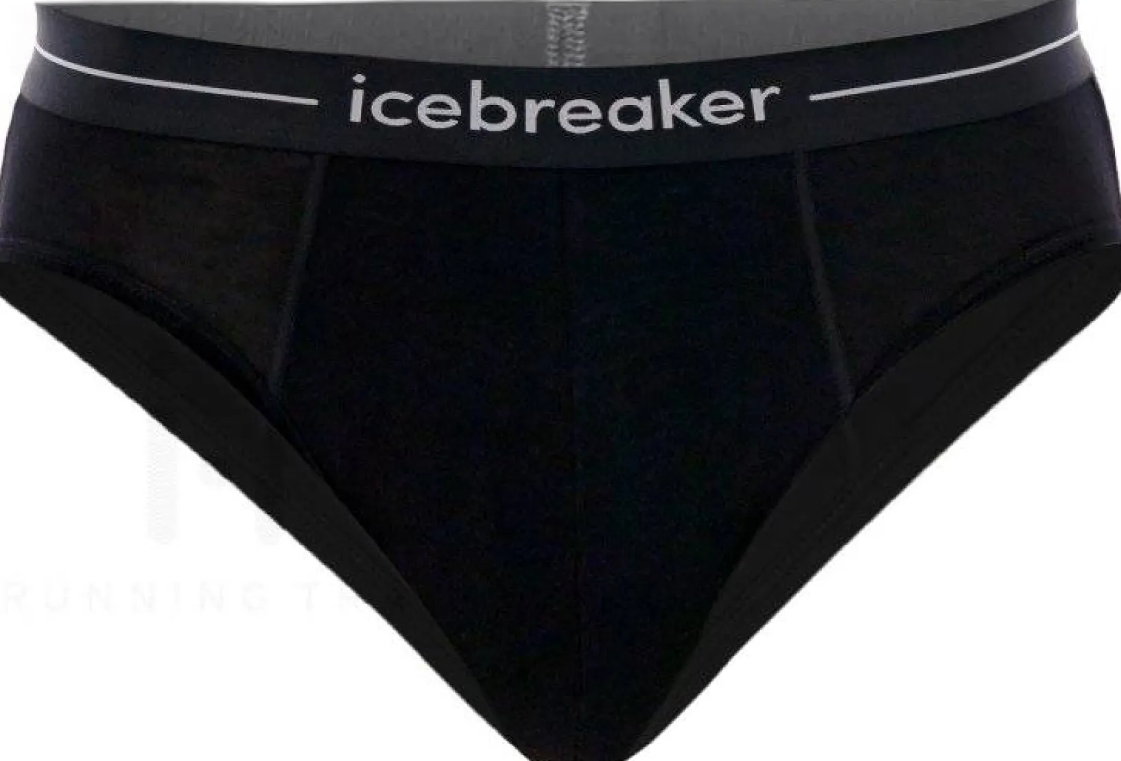 Homme Icebreaker Sous-Vêtements^Anatomica Brief Mérinos