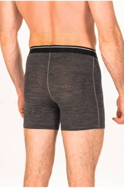 Homme Icebreaker Sous-Vêtements^Anatomica Mérinos M