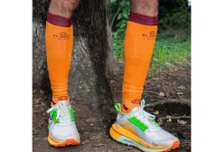 BV Sport Manchons / Manchettes^Booster Elite Evolution