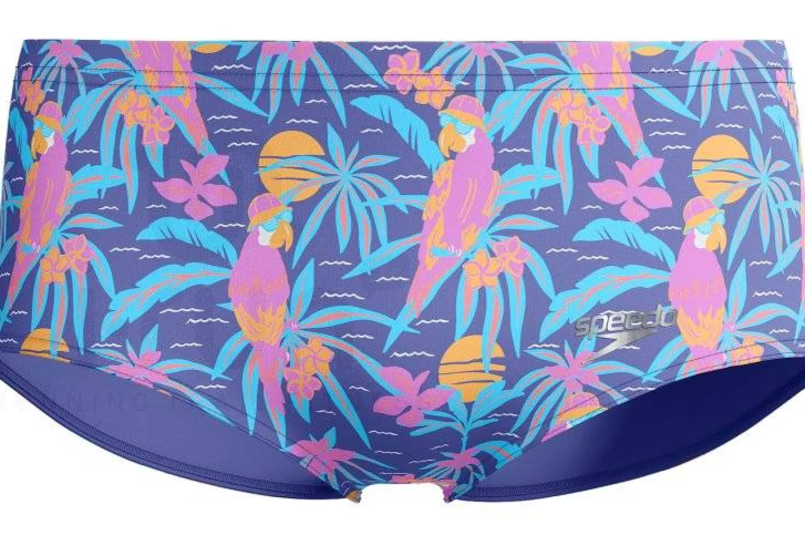 Homme Speedo Natation^Club Training Allover