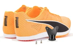 Homme Puma Athlétisme^evoSPEED Distance 11 M