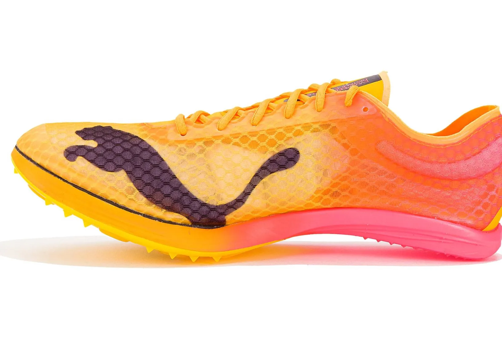 Homme Puma Athlétisme^evoSPEED Distance Nitro Elite+ M