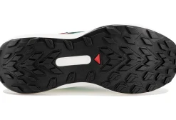 Homme Salomon Trail^Genesis