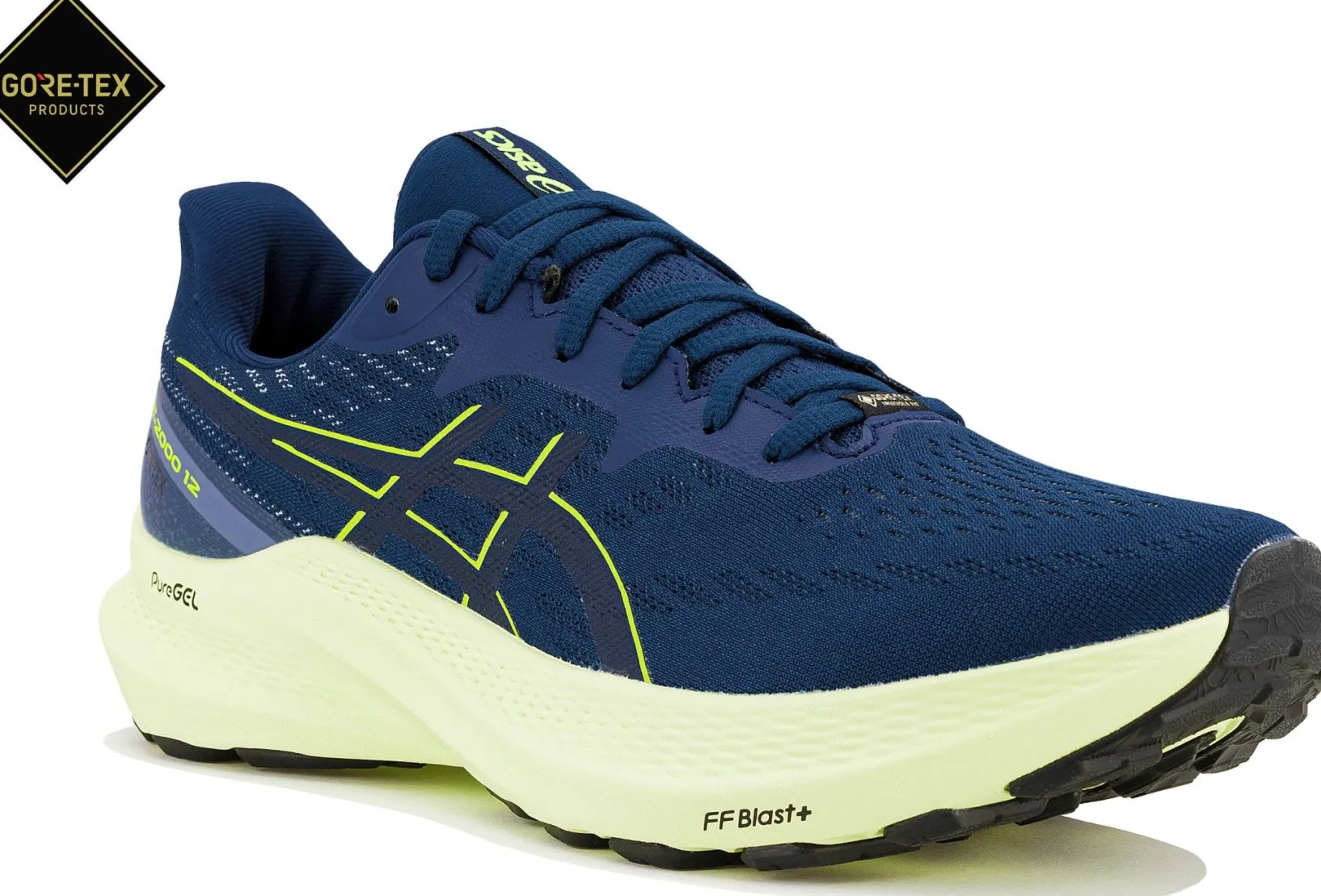 Homme Asics Running^GT-2000 12 Gore-Tex M