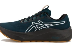 Homme Asics Running^GT-2000 14 TR Nature Bathing