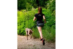 Djoring Canicross^Harnais Djore Sport