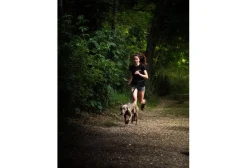 Djoring Canicross^Harnais Djore Sport