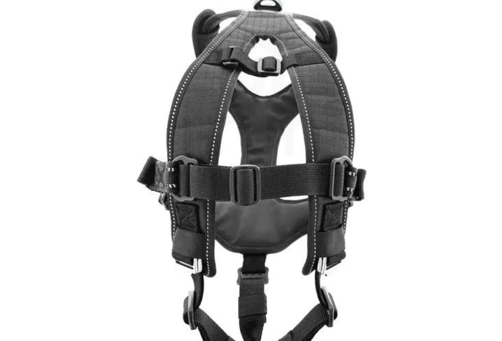 Raidlight Canicross^Harnais i-Dog