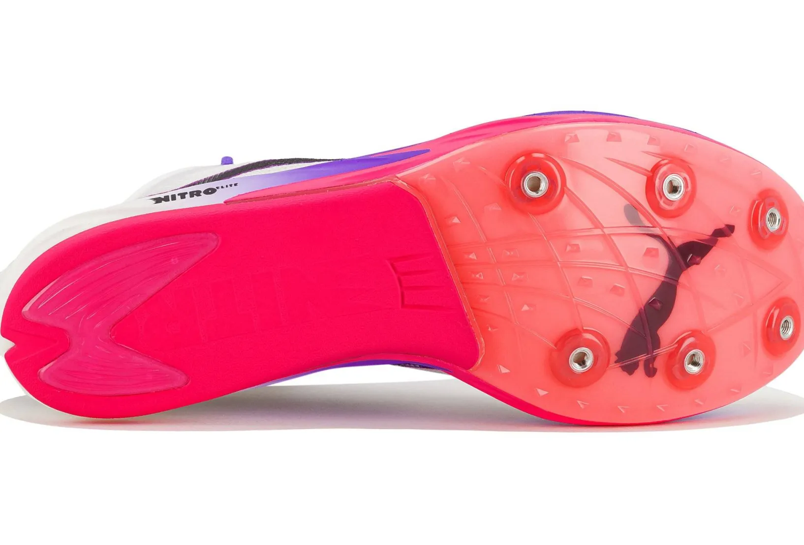 Homme Puma Athlétisme^Long Distance Nitro Elite 3 x Digitokyo