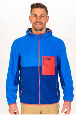 Homme Patagonia Polaires^Microdini M