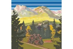 Rywan Chaussettes^No Limit Walk Graphik