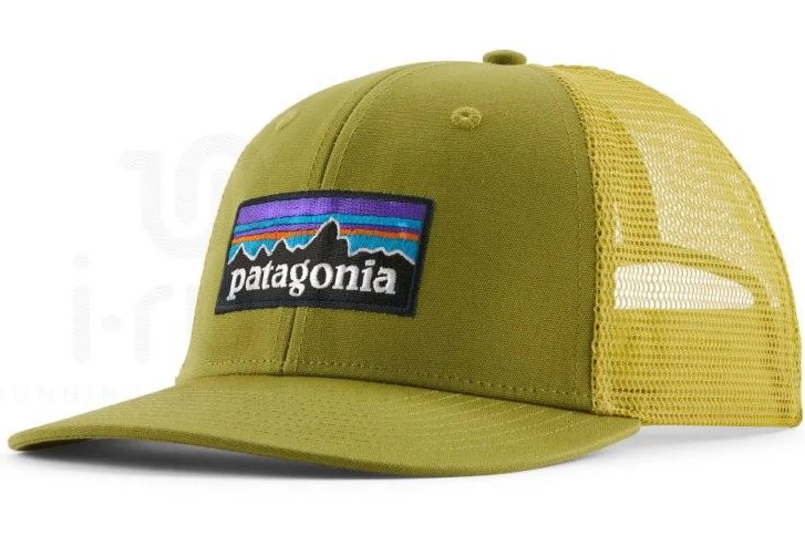 Patagonia Casquettes / Bandeaux^P-6 Logo Trucker