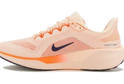 Homme Nike Running^Pegasus 41
