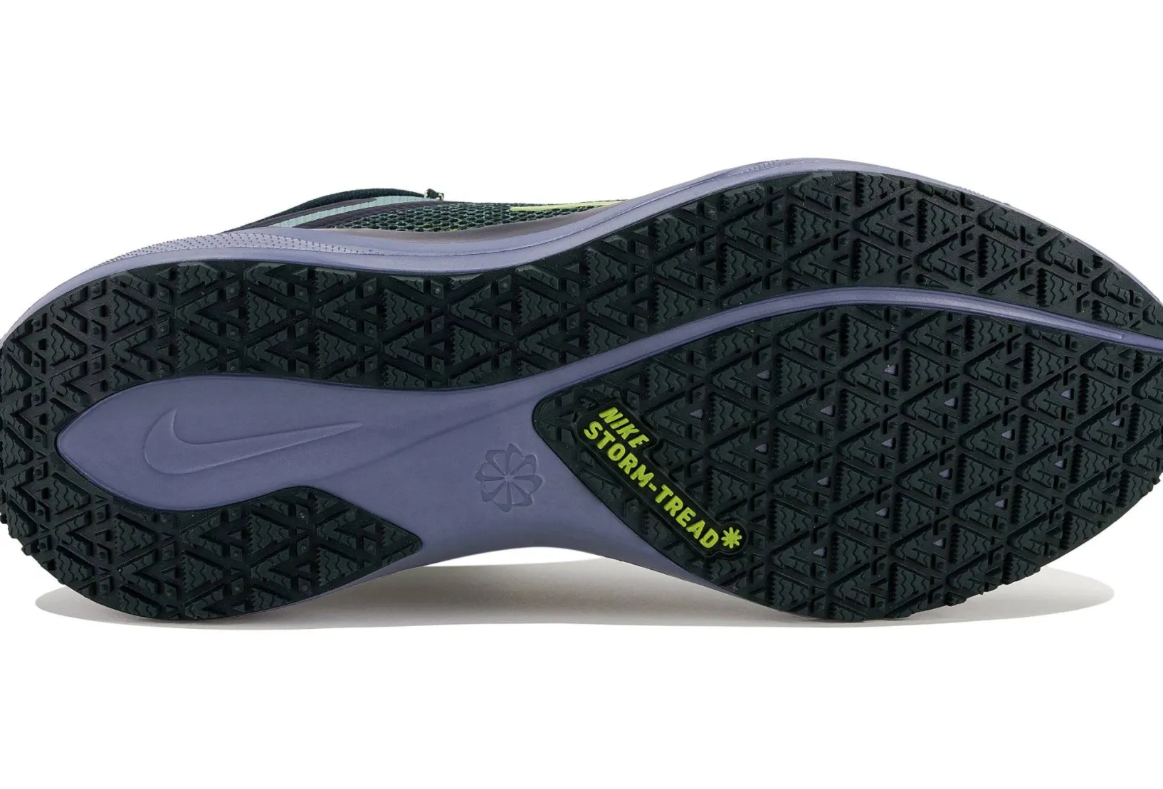 Homme Nike Running^Pegasus 41 Gore-Tex