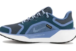 Femme Nike Running^Pegasus 41 Gore-Tex femme