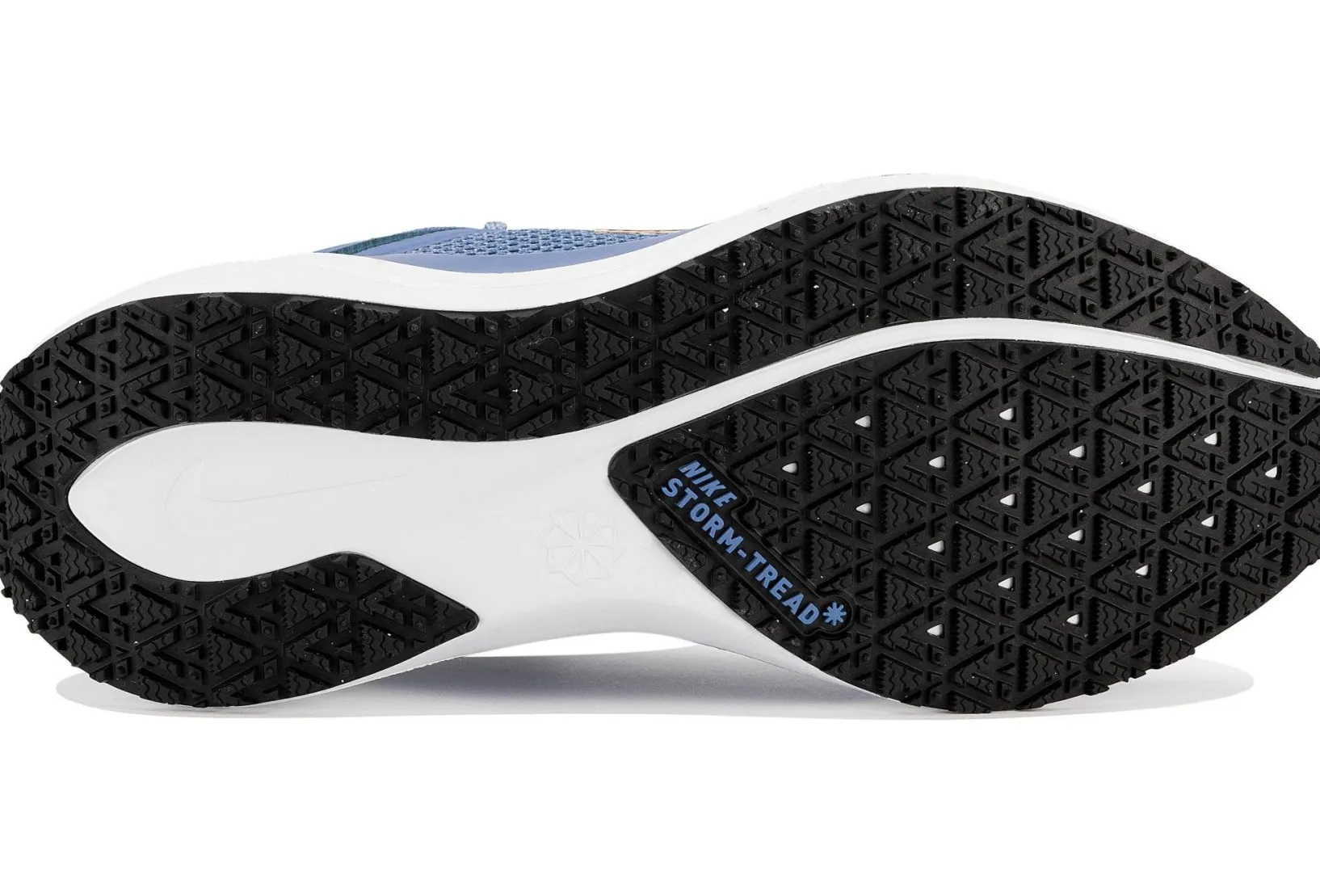 Femme Nike Running^Pegasus 41 Gore-Tex femme