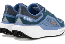 Femme Nike Running^Pegasus 41 Gore-Tex femme