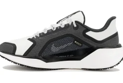 Femme Nike Running^Pegasus 41 Gore-Tex femme