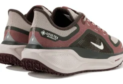Femme Nike Running^Pegasus 41 Gore-Tex femme