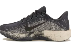 Homme Nike Running^Pegasus Plus