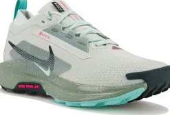 Homme Nike Trail^Pegasus Trail 5 Gore-Tex