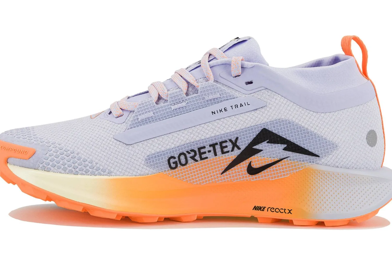 Femme Nike Trail^Pegasus Trail 5 Gore-Tex femme