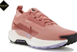 Femme Nike Trail^Pegasus Trail 5 Gore-Tex femme