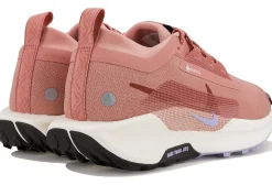 Femme Nike Trail^Pegasus Trail 5 Gore-Tex femme