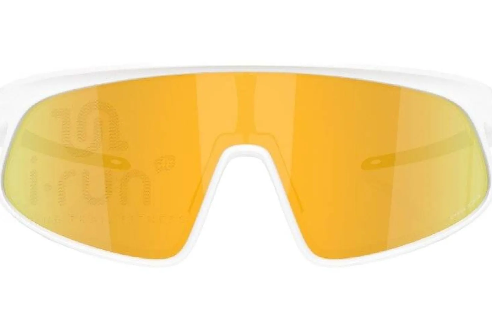 Oakley Lunettes^RSLV Prizm