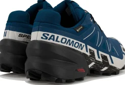 Homme Salomon Trail^Speedcross 6 Gore-Tex