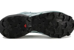 Femme Salomon Trail^Speedcross 6 Gore-Tex femme