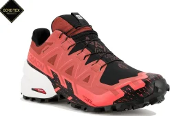 Homme Salomon Trail^Spikecross 6 Gore-Tex M