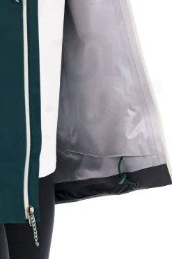 Femme Patagonia Vestes & Coupe Vent^Triolet Gore-Tex femme